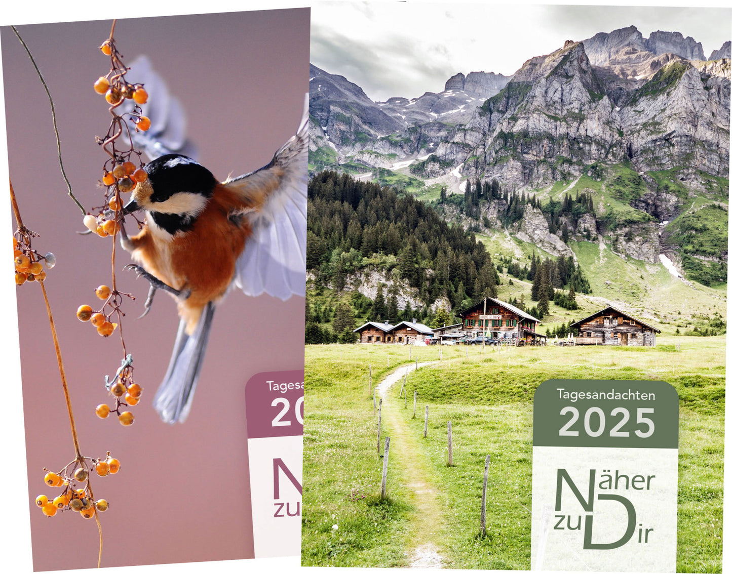 Näher zu Dir 2025 Andachtsbuch