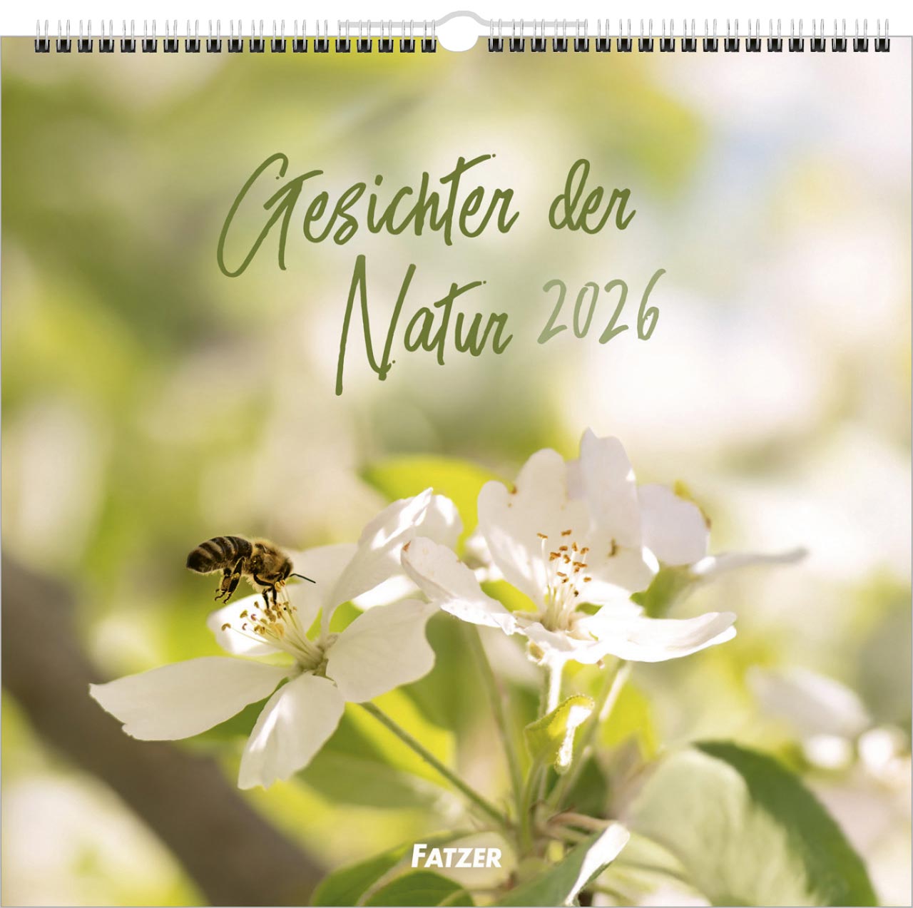 Gesichter der Natur 2026 (Wandkalender)