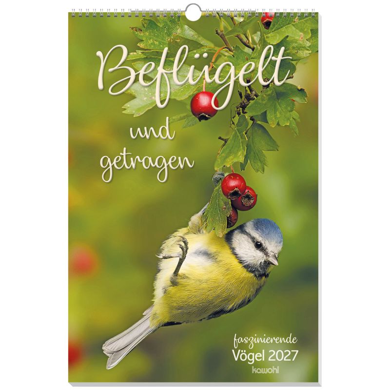 Beflügelt und getragen - Vögel 2027 (Wandkalender) 30x44cm