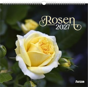 Rosen 2027 (Wandkalender)