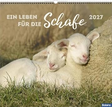 Ein Leben für die Schafe 2027 (Wandkalender)
