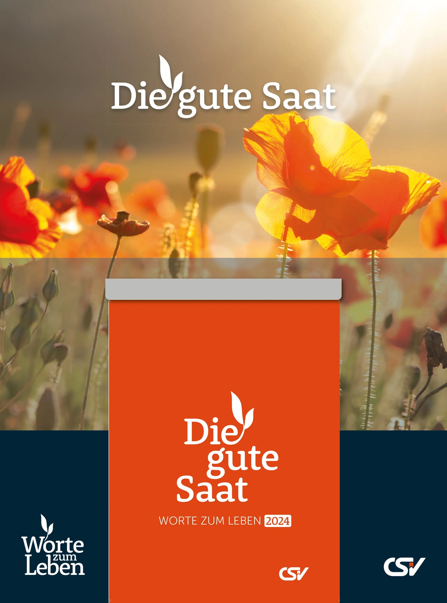 Die gute Saat 2024 (Abreißkalender mit Rückwand)