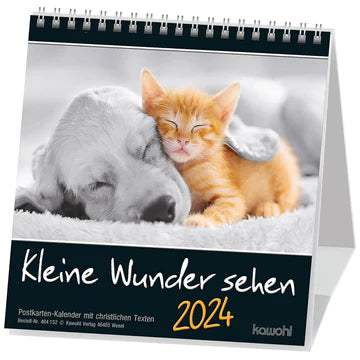Kleine Wunder sehen 2024 (Postkartenkalender)