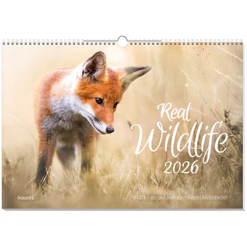 Real Wildlife 2026 (Wandkalender)