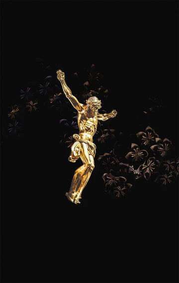 Hoffnung für alle. Die Bibel. - Golden Jesus Edition (Deluxe-Ausgabe)