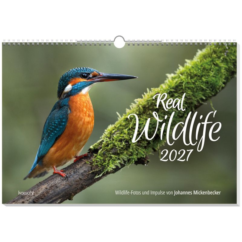 Real Wildlife 2027 (Wandkalender)