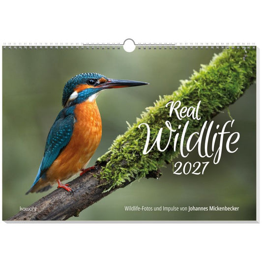 Real Wildlife 2027 (Wandkalender)
