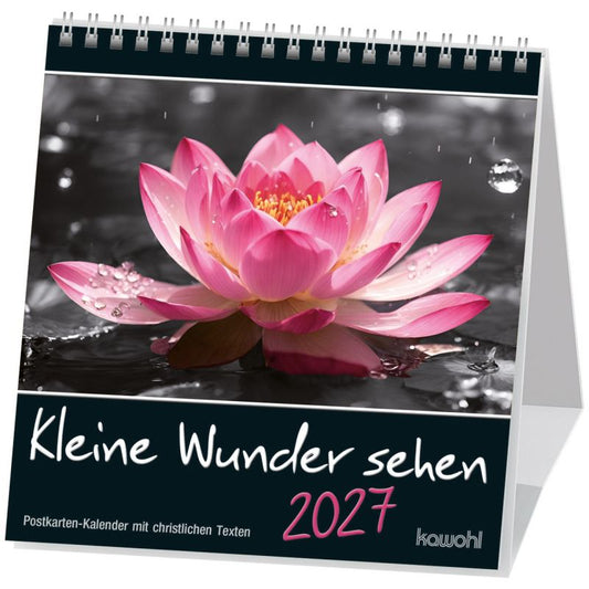 Kleine Wunder sehen 2027 (Postkartenkalender)
