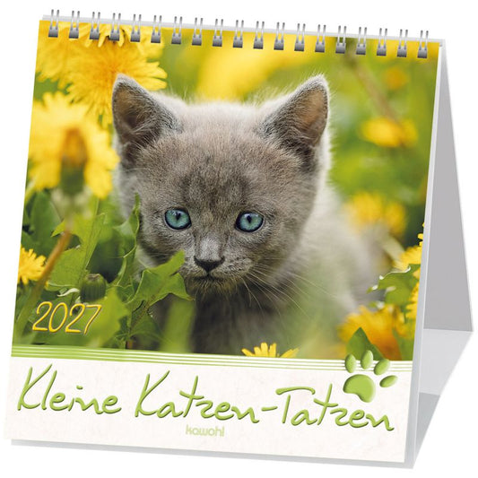 Kleine Katzen-Tatzen 2027 (Postkartenkalender)