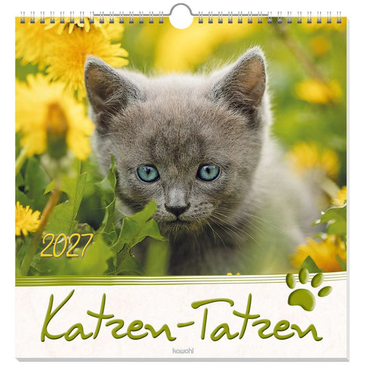 Katzen-Tatzen 2027 (Wandkalender)