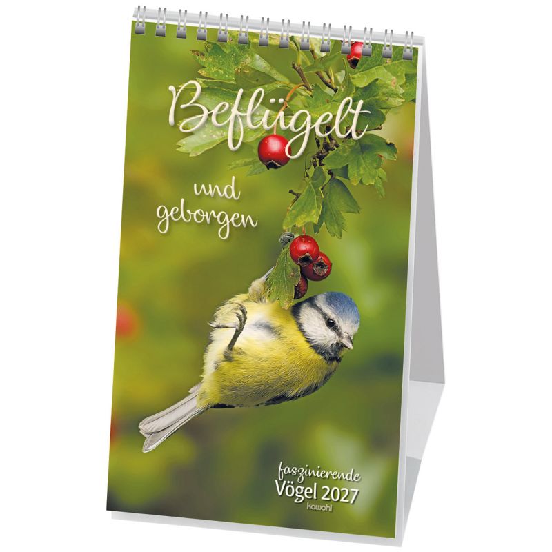 Beflügelt und geborgen - Vögel 2027 (Postkartenkalender) 12x21cm