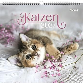 Katzen 2027 (Wandkalender)