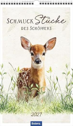SchmuckStücke des Schöpfers 2027 (Poster-Kalender)