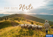 Der Gute Hirte 2026 (Postkartenkalender)