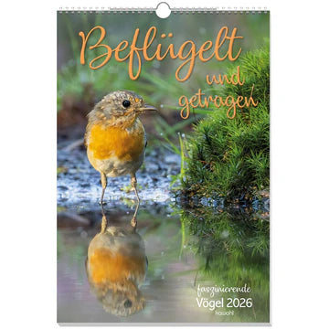 Beflügelt und getragen - Vögel 2026 (Wandkalender) 30x44cm