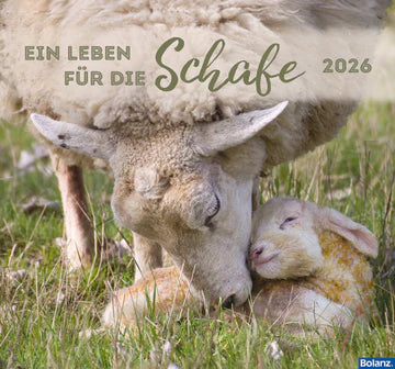 Ein Leben für die Schafe 2026 (Wandkalender)