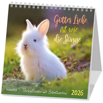 Gottes Liebe ist wie die Sonne 2026 (Postkartenkalender)