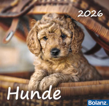 Hunde 2026 (Minikalender)