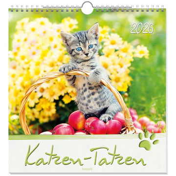 Katzen-Tatzen 2026 (Wandkalender)