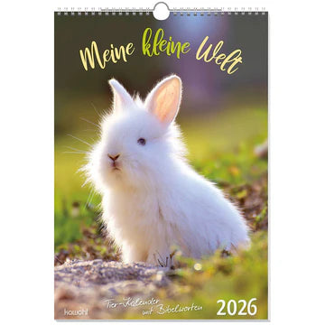 Meine kleine Welt 2026 (Wandkalender)