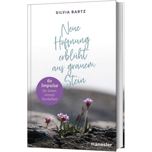 Neue Hoffnung erblüht aus grauen Steinen