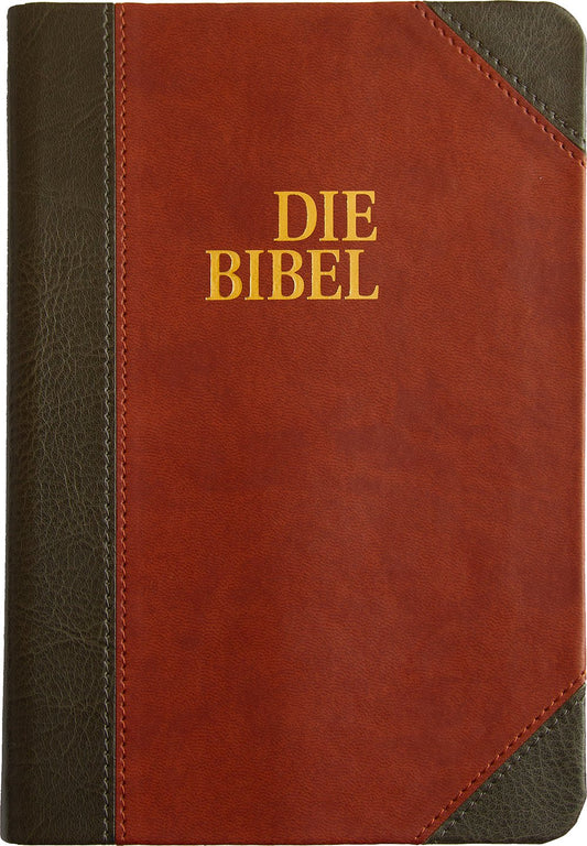 Schlachter-Bibel 2000 Duotone grau/braun mit Goldschnitt