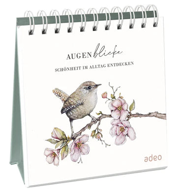 AugenBlicke - Aufstellbuch - Schönheit im Alltag entdecken