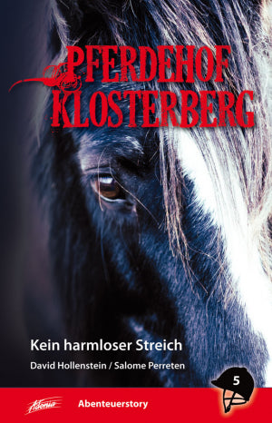 Pferdehof Klosterberg Bd 5 - Kein harmloser Streich