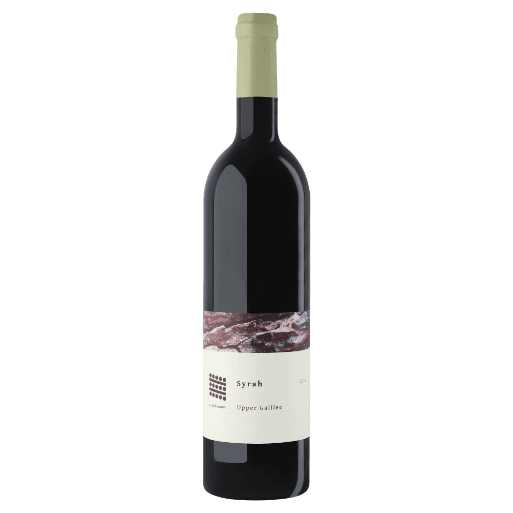 Galil Mountain Syrah 2020 - Galil Mountain Winery